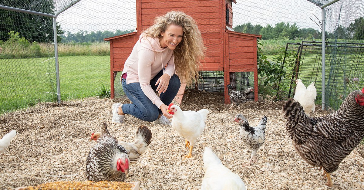 woman feeding her chickens in their chicken coop