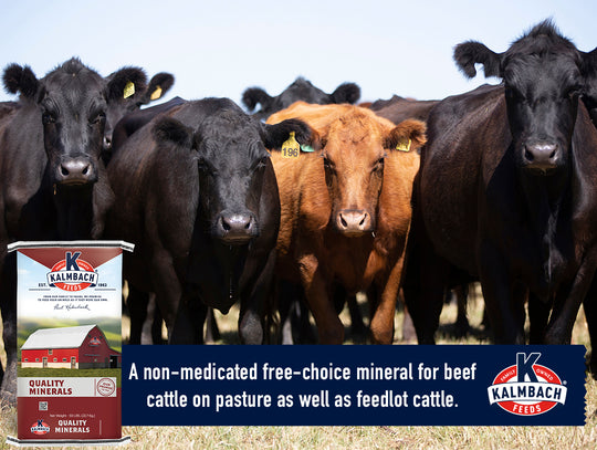Free-Choice Mineral for Pasture and Feedlot Cattle