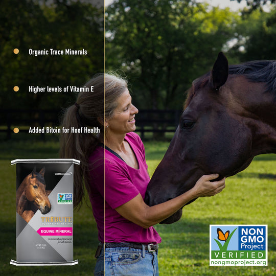 tribute equine nutrition loose mineral for horses