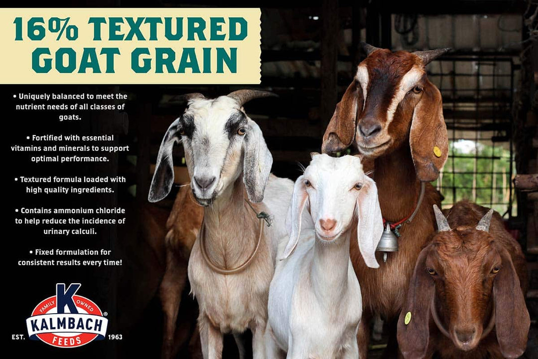 Textured Goat Grain Benefits