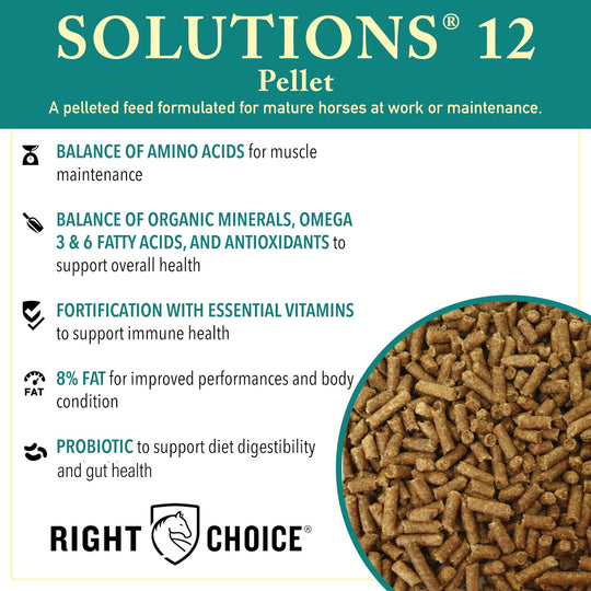 right choice solutions 12% protein pelleted horse feed