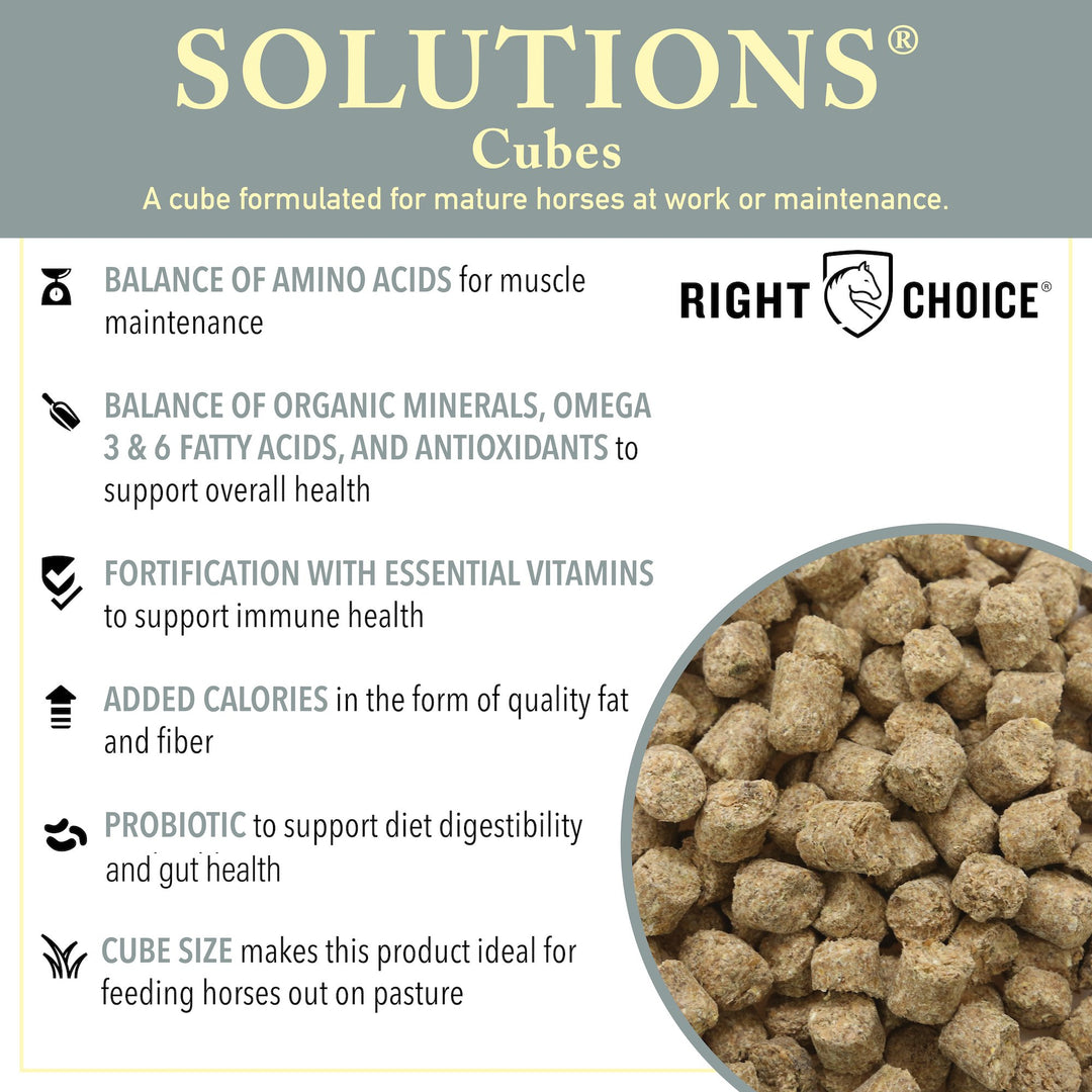 right choice solutions 14 cubes horse feed
