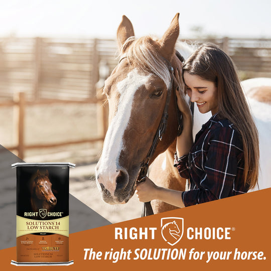 right choice solutions 14 low starch pelleted horse feed