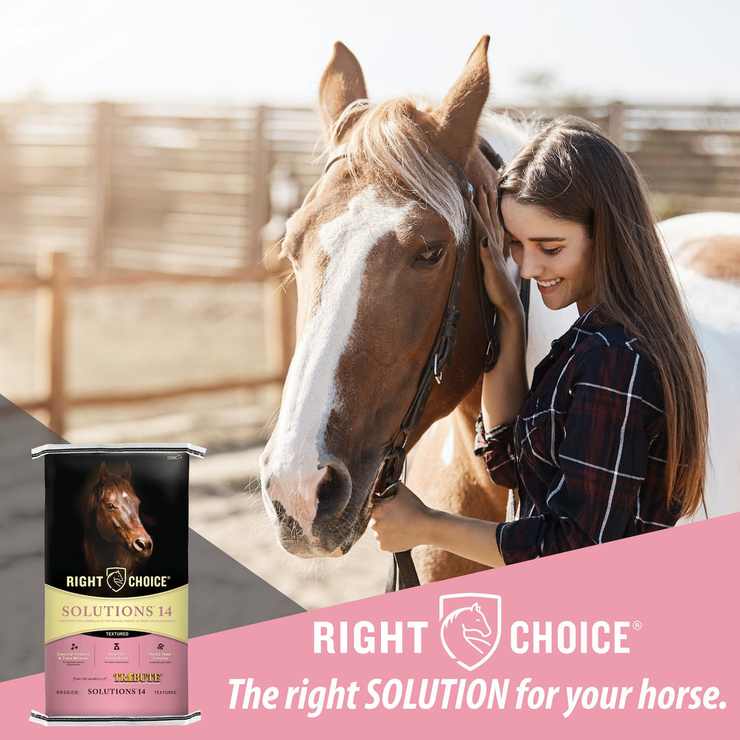 right choice solutions 14 textured horse feed