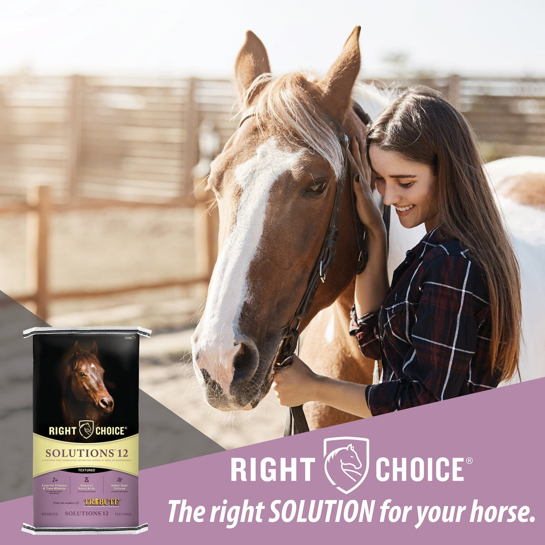 Solutions® 12 Textured Horse Feed