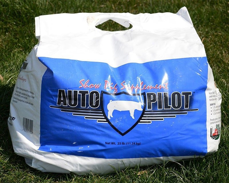 Auto Pilot bag
