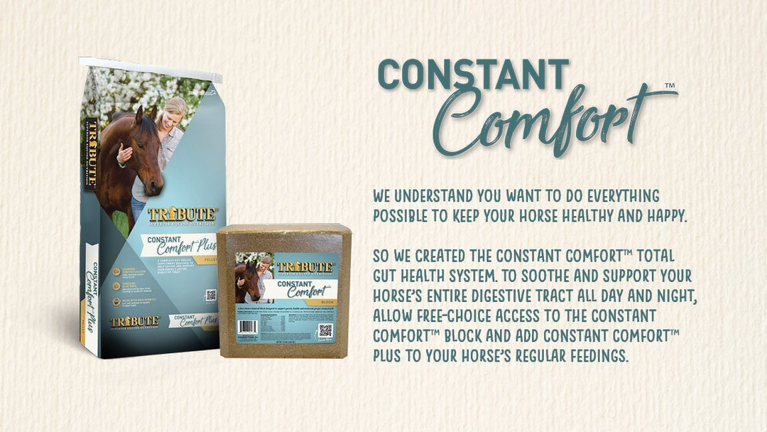 Constant Comfort® Plus