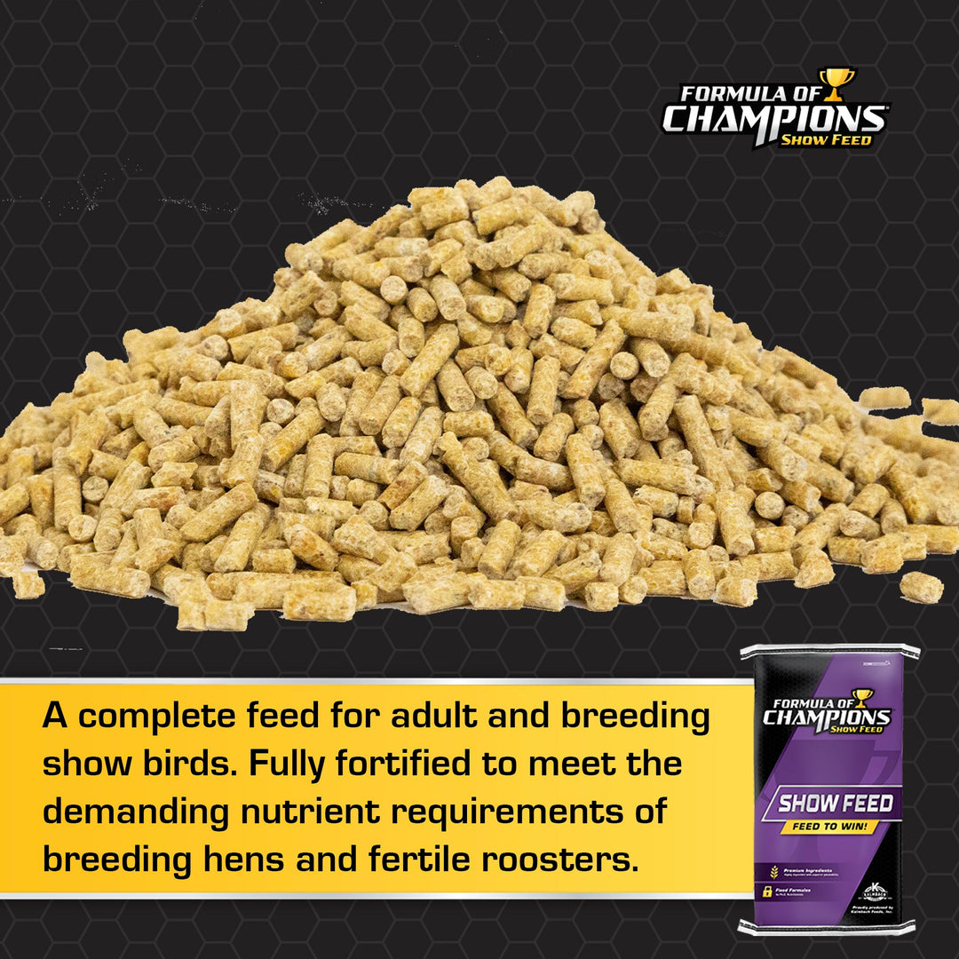 formula of champions fancy & feathered show bird feed for chickens