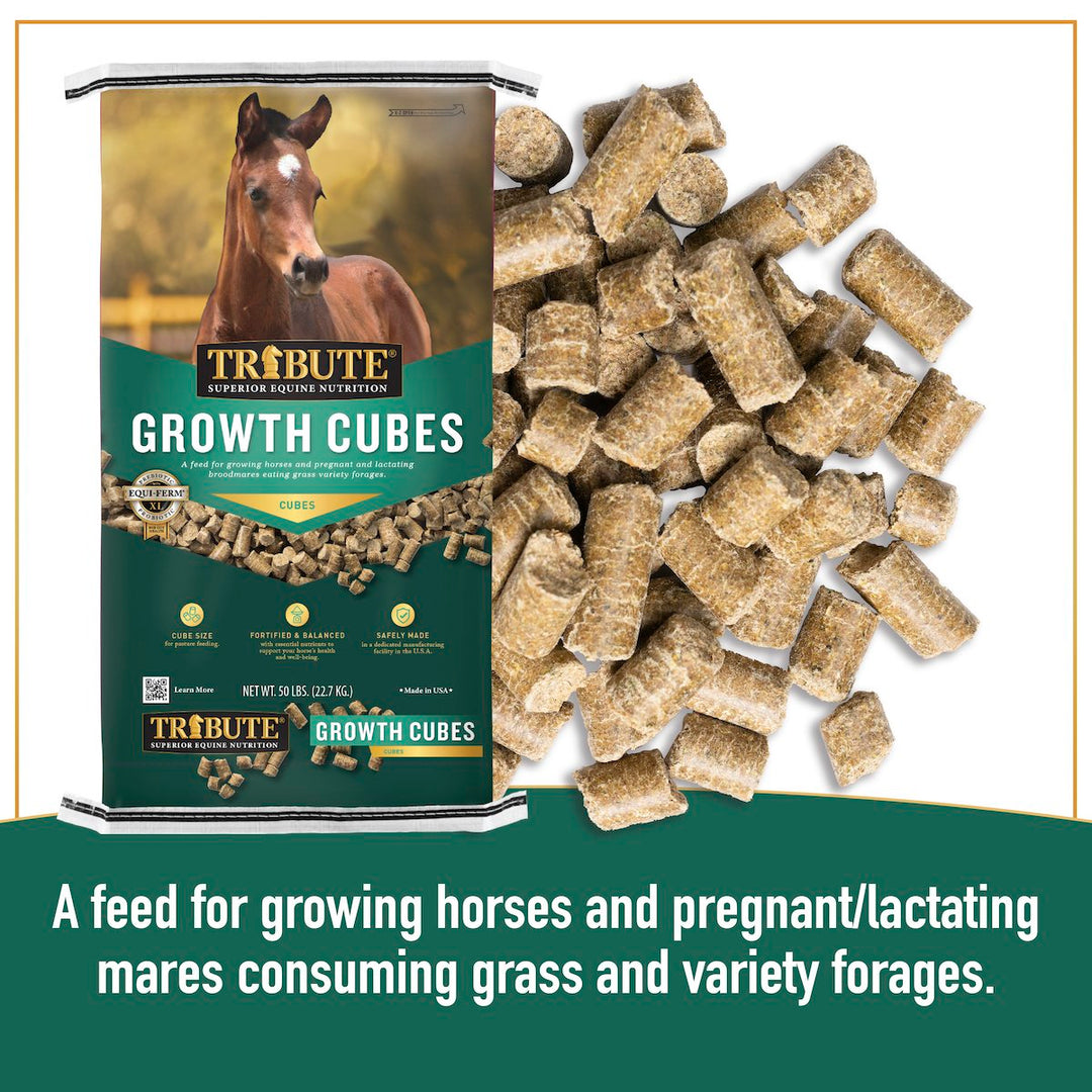 tribute equine nutrition growth cube for weanlings, yearlings, growing horses and broodmares