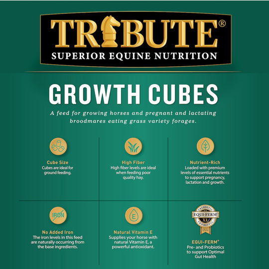 tribute equine nutrition growth cube for weanlings, yearlings, growing horses and broodmares
