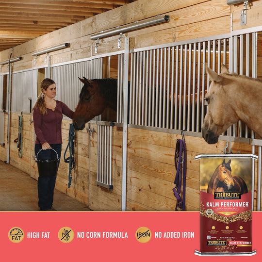 tribute equine nutrition kalm performer high fat textured horse feed