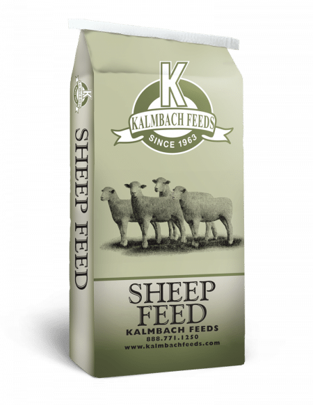 Kalmbach Feeds 21% Lamb Creep Pellets for lambs