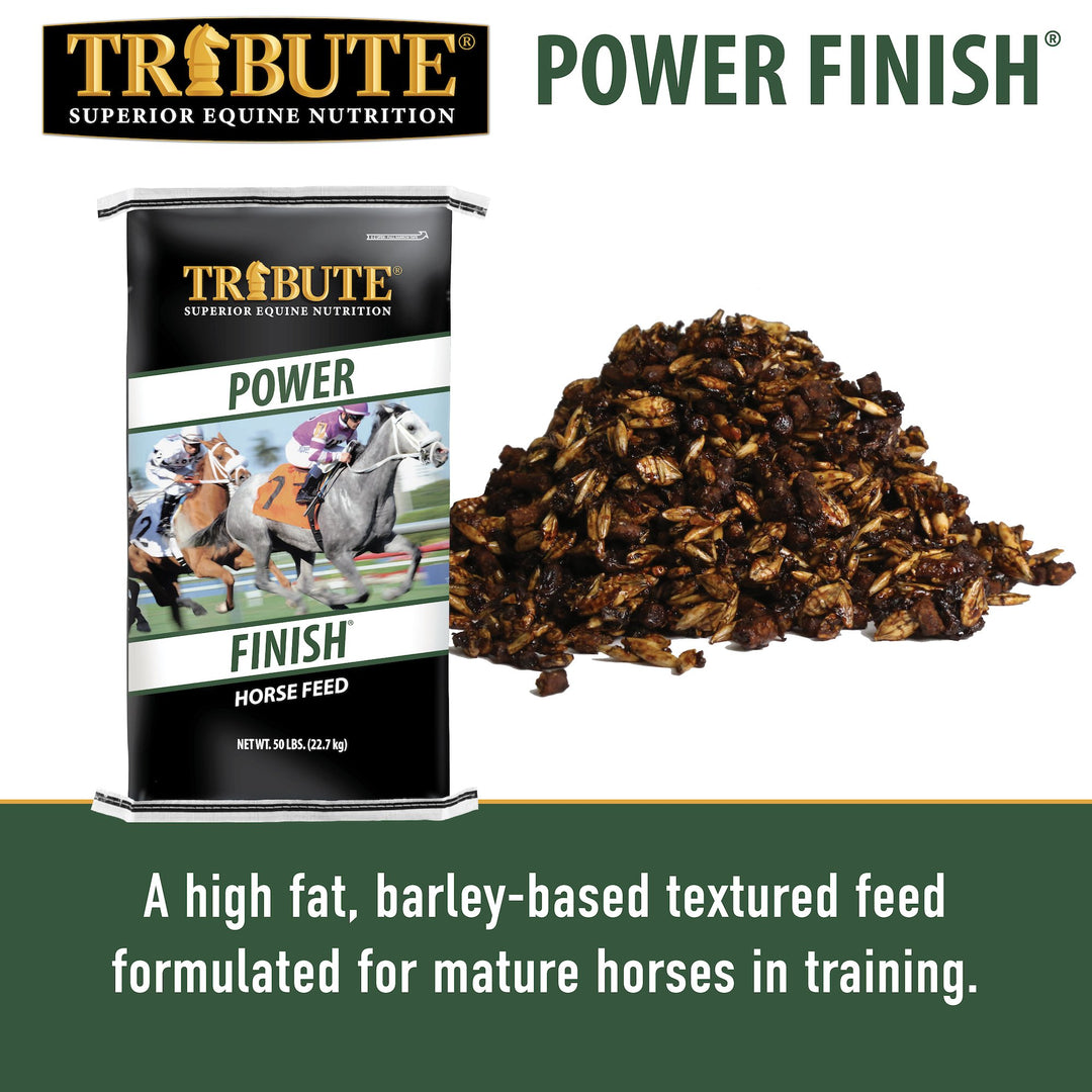 tribute equine nutrition power finish corn free racehorse feed