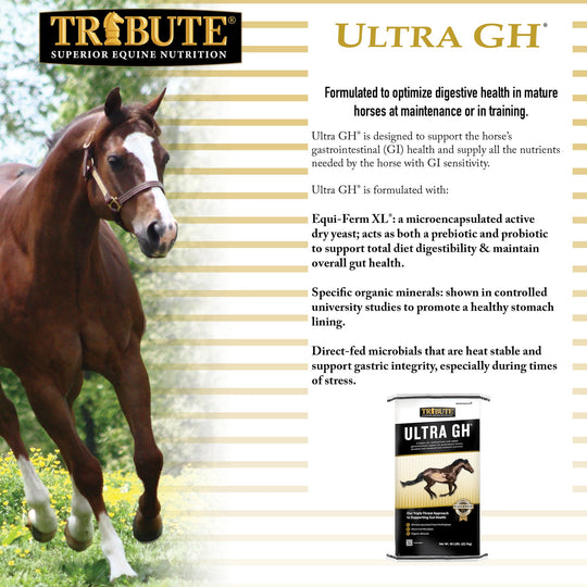 tribute equine nutrition ultra gh gut health horse feed