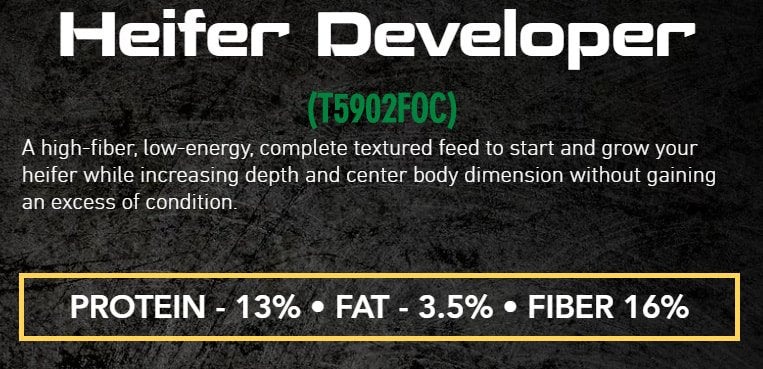 foc heifer developer beef feed description