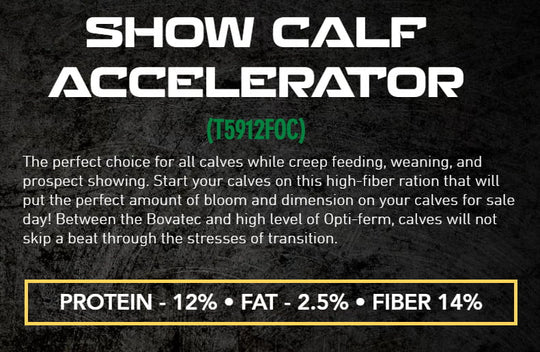 foc show calf accelerator cattle feed description