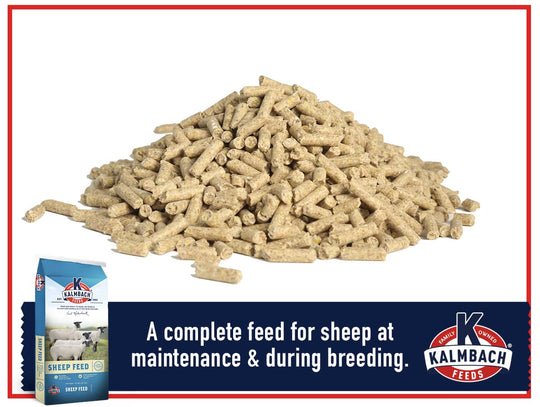 kalmbach 16 ewe builder pellet image sheep feed