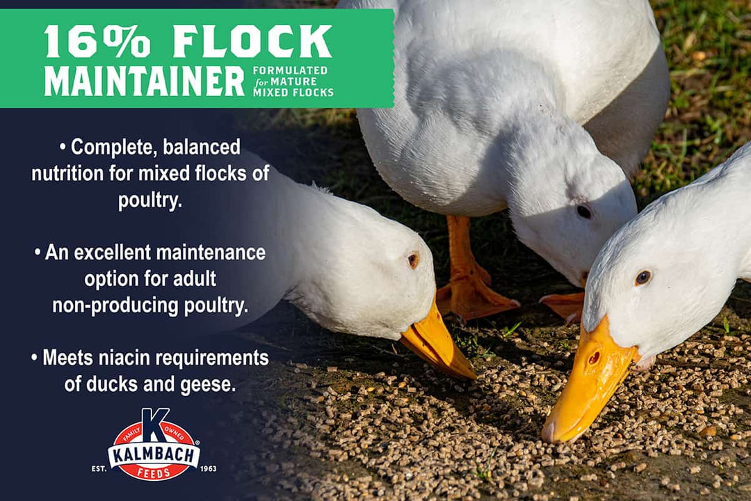 kalmbach 16 flock maintainer benefits bullet points