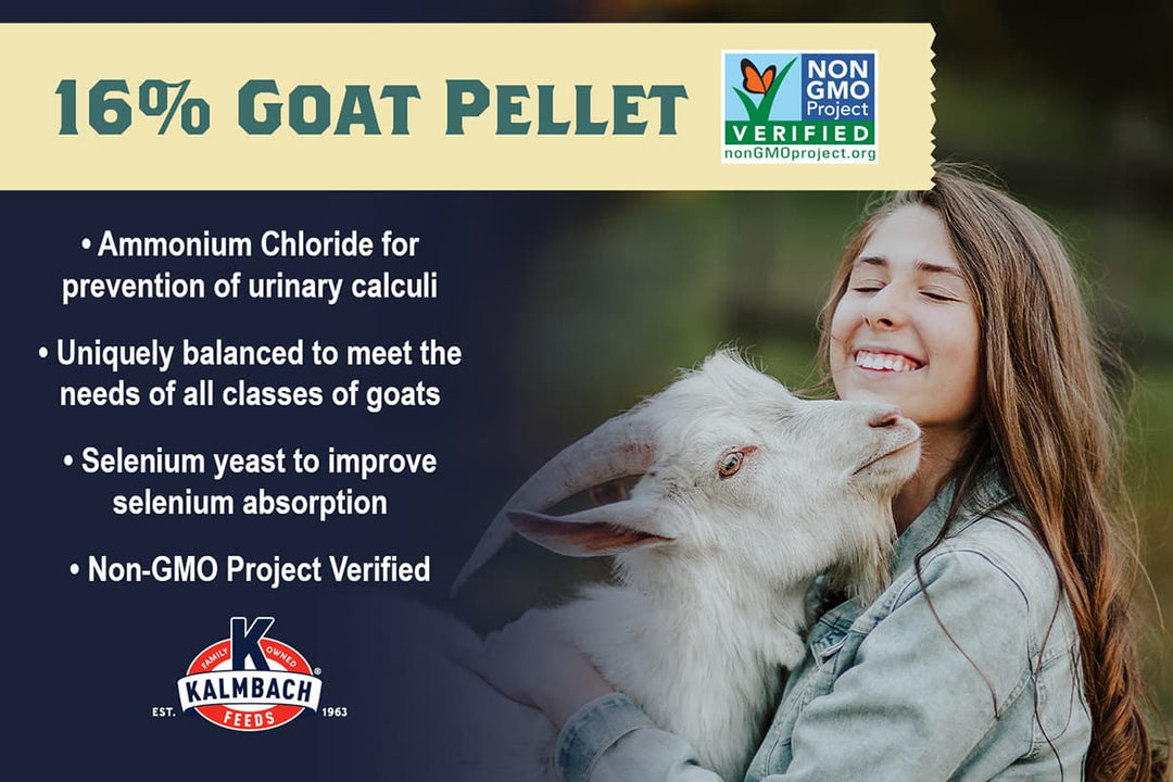 kalmbach 16 goat pellet non-gmo benefits lifestyle imagery