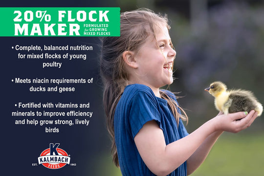 kalmbach 20 flock maker poultry feed benefits bullet points