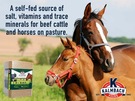 kalmbach 3-in-1 livestock block description lifestyle imagery horses
