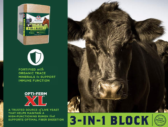 kalmbach 3-in-1 livestock block lifestyle imagery graphic