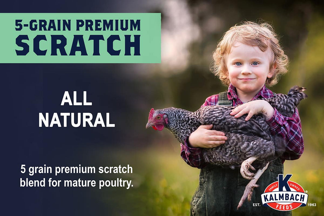 kalmbach 5-grain premium scratch grain poultry feed lifestyle imagery