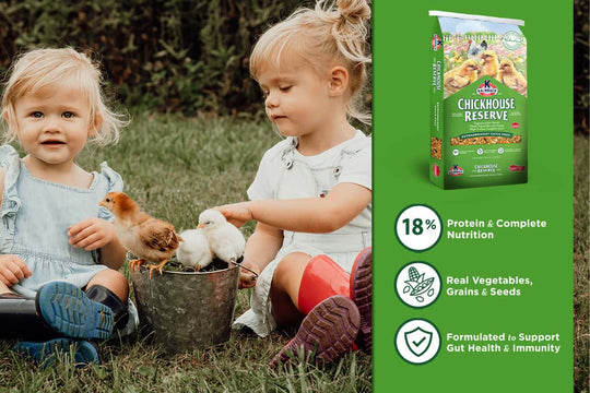 kalmbach chickhouse reserve chick feed benefits lifestyle imagery