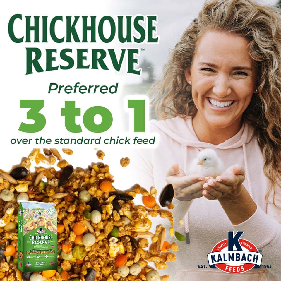 kalmbach chickhouse reserve chick feed info graphic