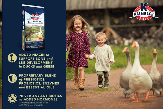 kalmbach duck and goose benefits poultry feed