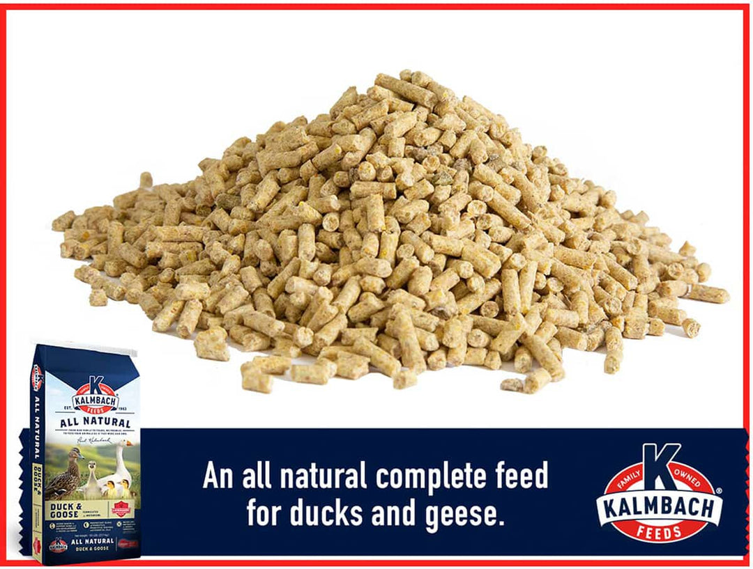 kalmbach duck and goose feed pellets poultry feed