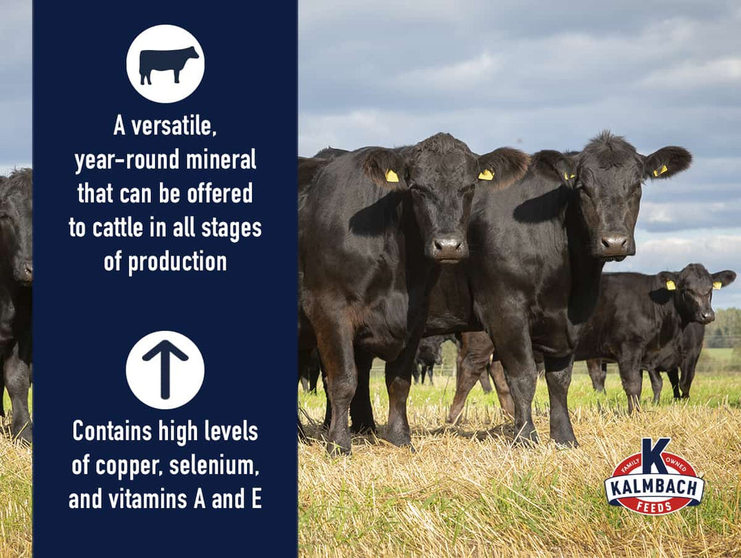 kalmbach free-choice beef mineral bullet points