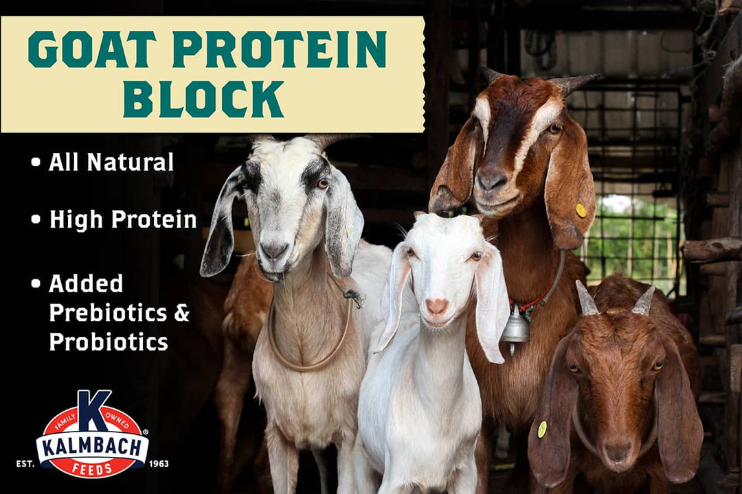 kalmbach goat protein block benefits lifestyle imagery