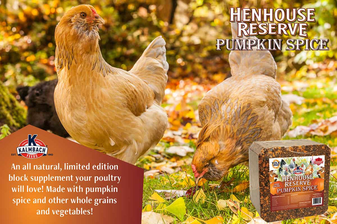 kalmbach henhouse reserve pumpkin spice flavored block description lifestyle imagery