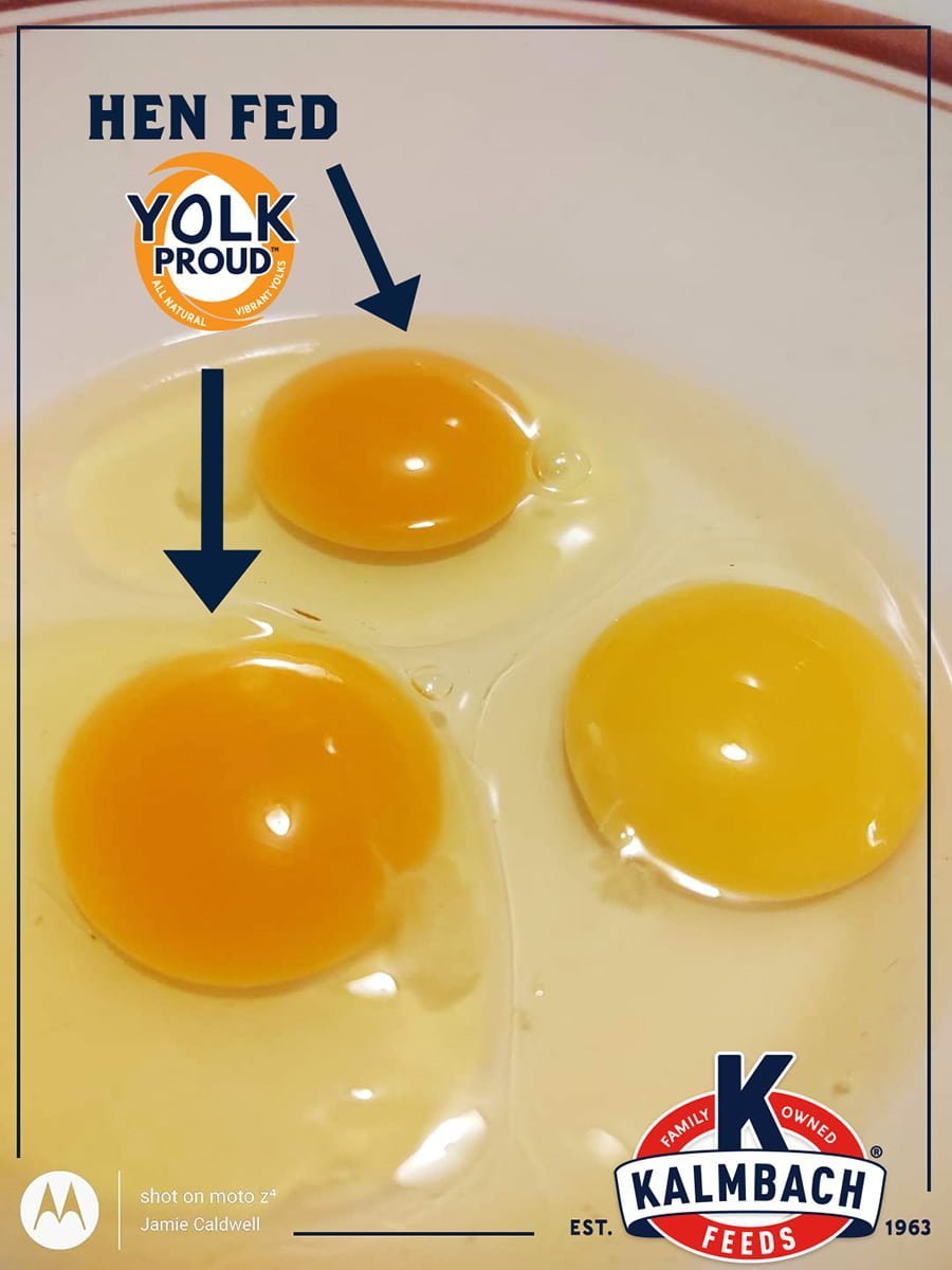 kalmbach premium poultry block yolk proud graphic