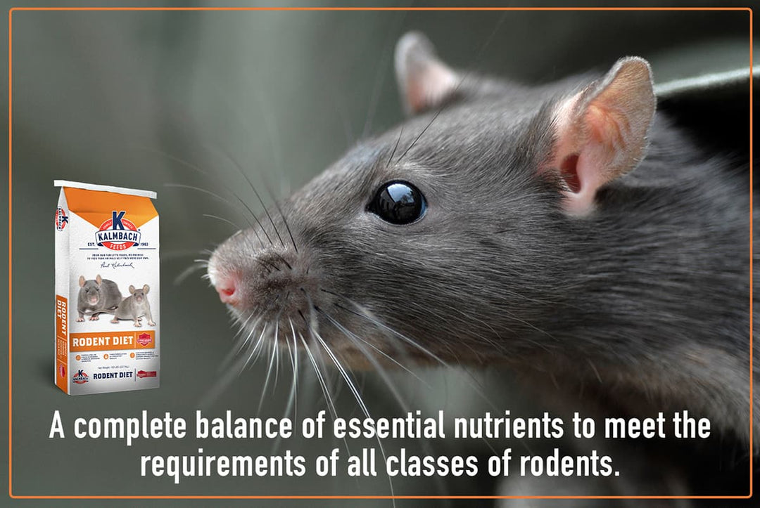 kalmbach rodent diet description rodent feed