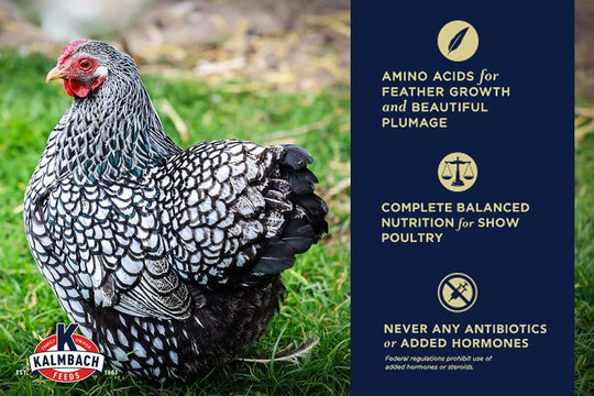 kalmbach show poultry and gamebird bullet points poultry feed