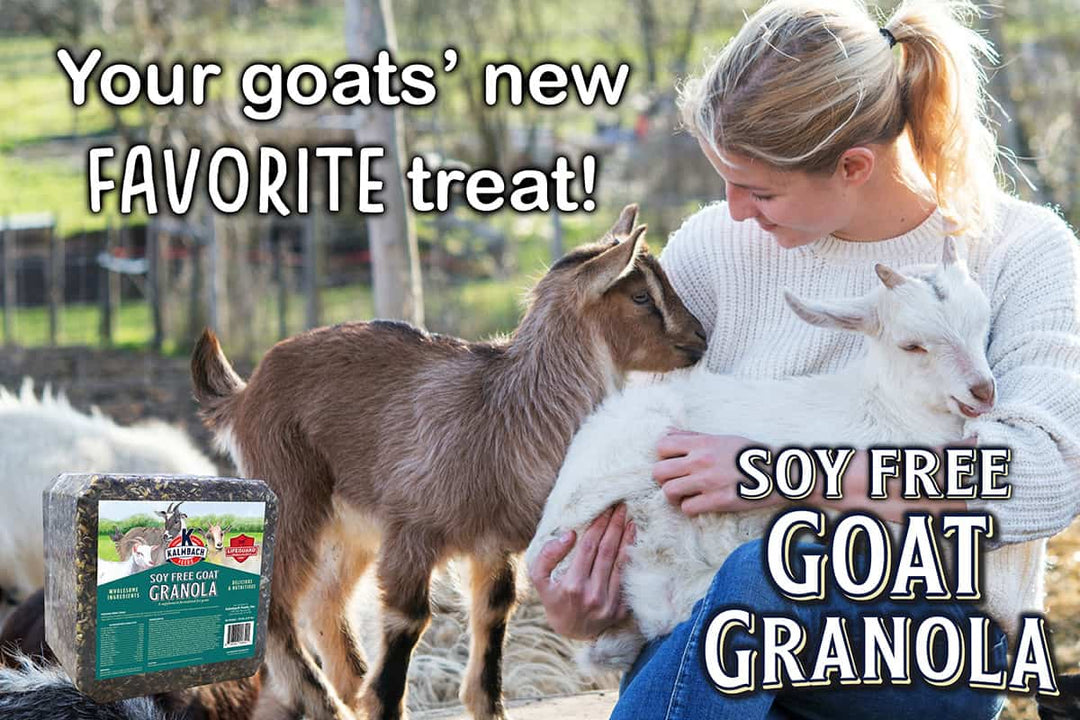 kalmbach soy-free goat granola lifestyle imagery