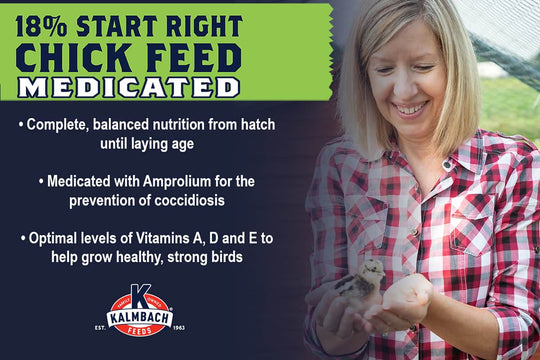 kalmbach start right medicated chick feed benefits bullet points