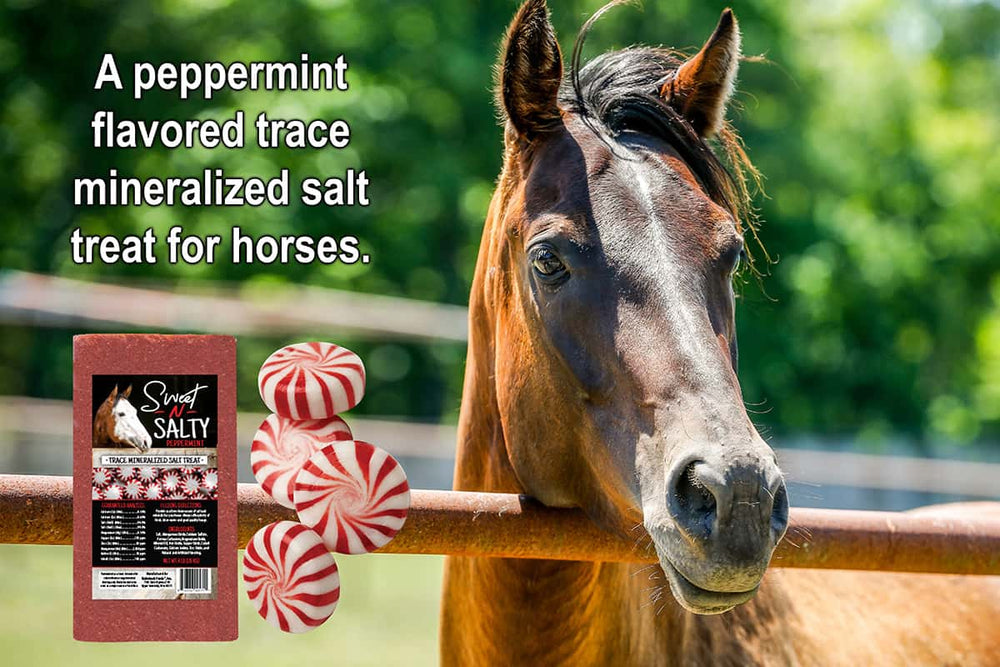 kalmbach sweet-n-salty peppermint flavored horse mineral block description