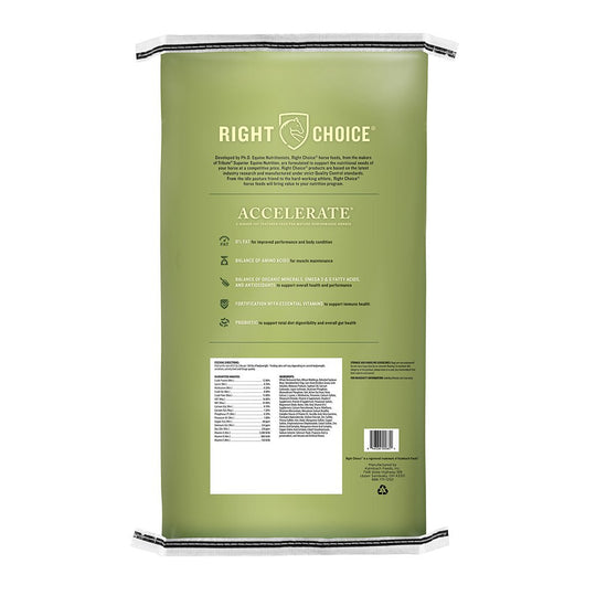 right choice accelerate racehorse horse feed