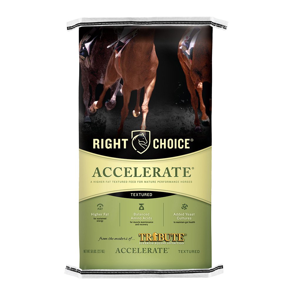 right choice accelerate racehorse horse feed