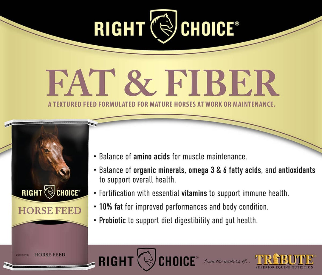 right choice fat and fiber horse feed benefits graphic