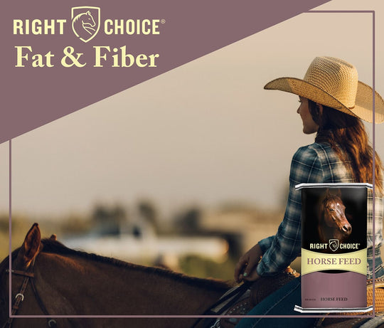 right choice fat and fiber horse feed lifestyle imagery