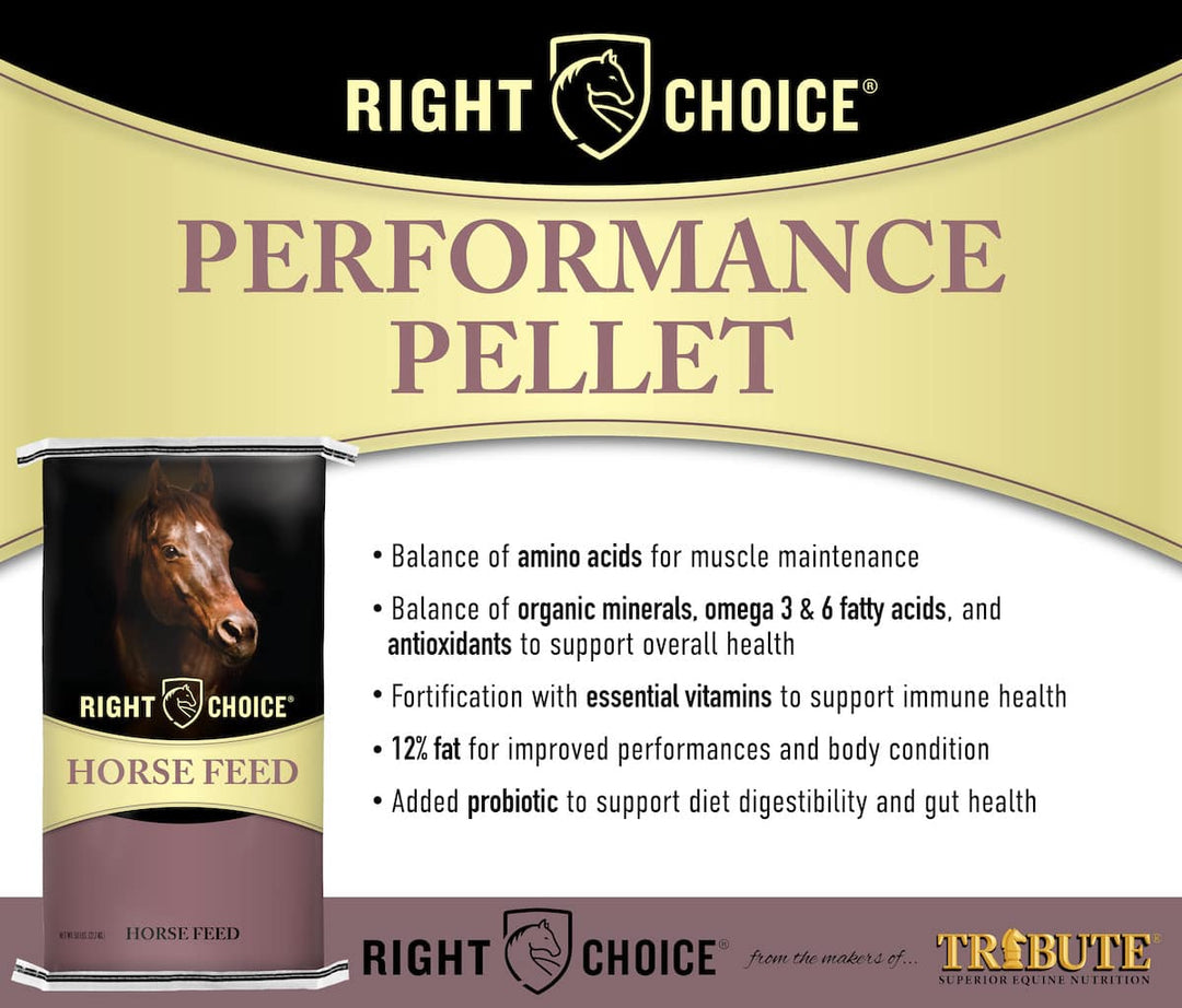 right choice performance pellet description horse feed