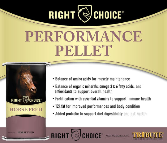 right choice performance pellet description horse feed