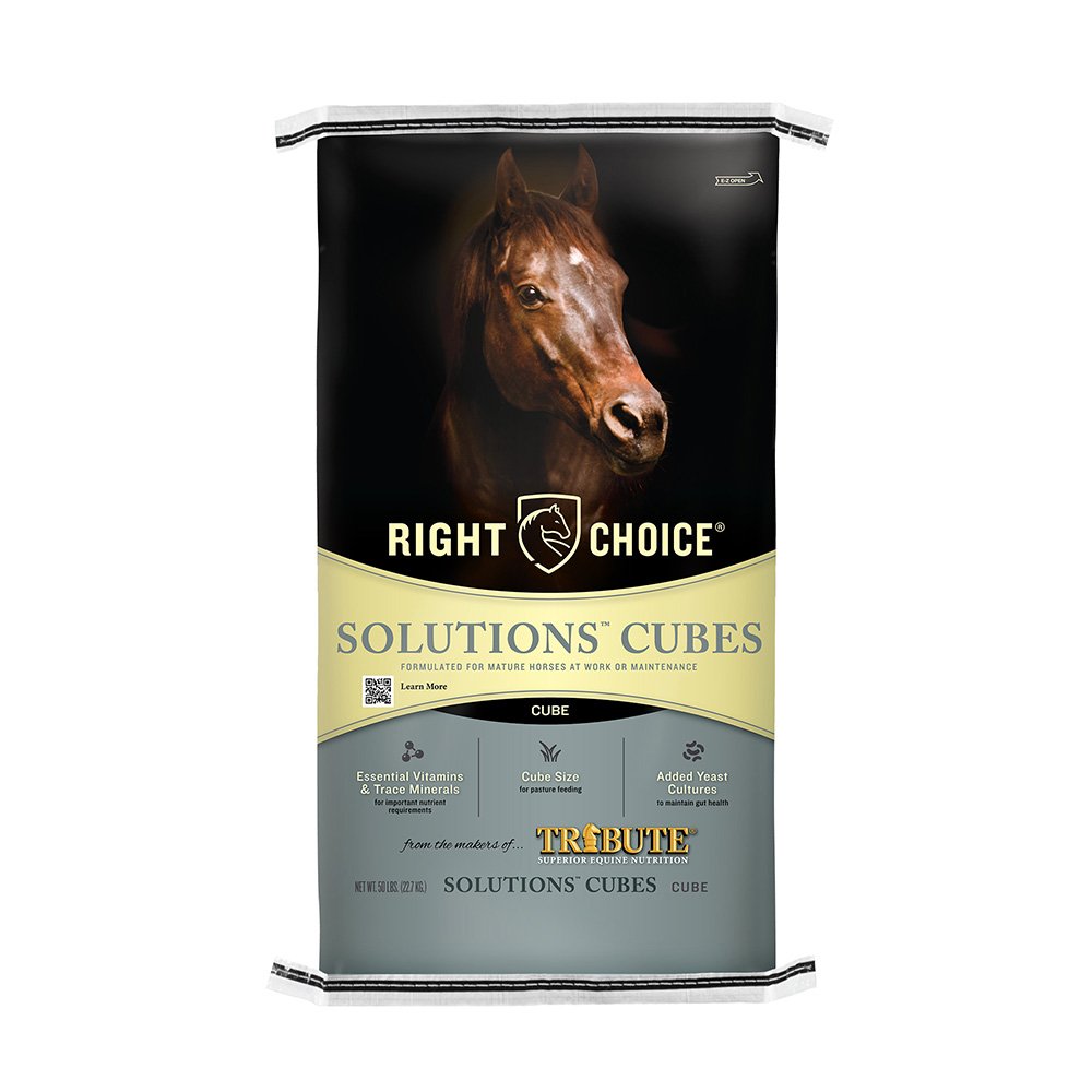 right choice solutions 14 cubes horse feed