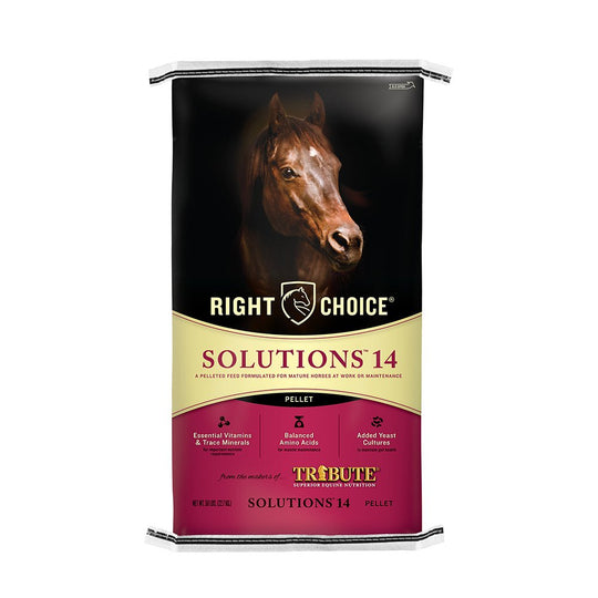 right choice solutions 14 pelleted horse feed