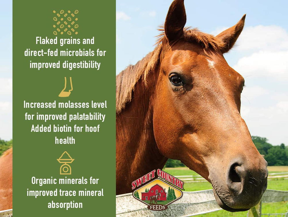 sweet country 12 horse benefits lifestyle imagery horse feed