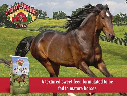 sweet country 12 horse feed description